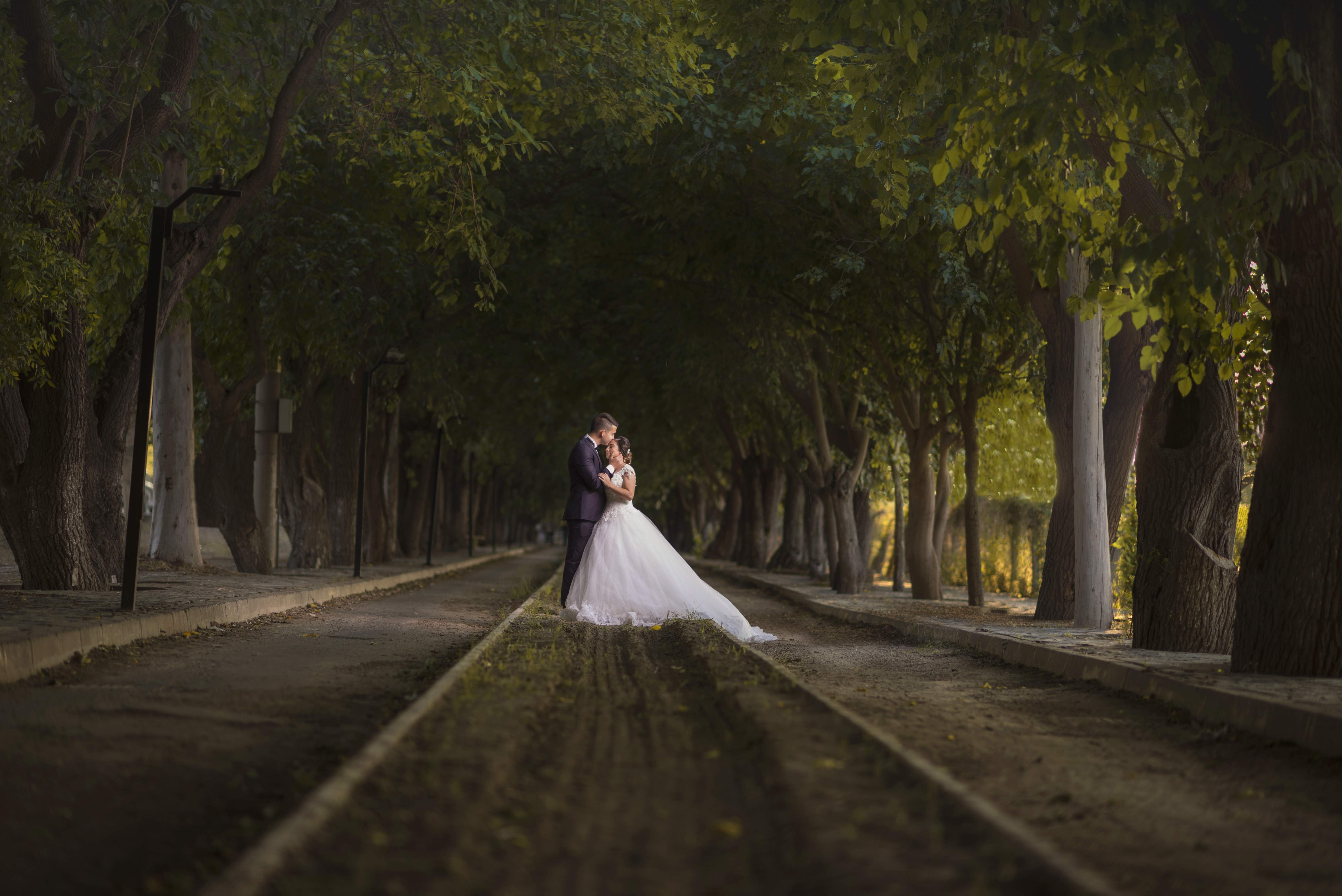 Wedding Photography